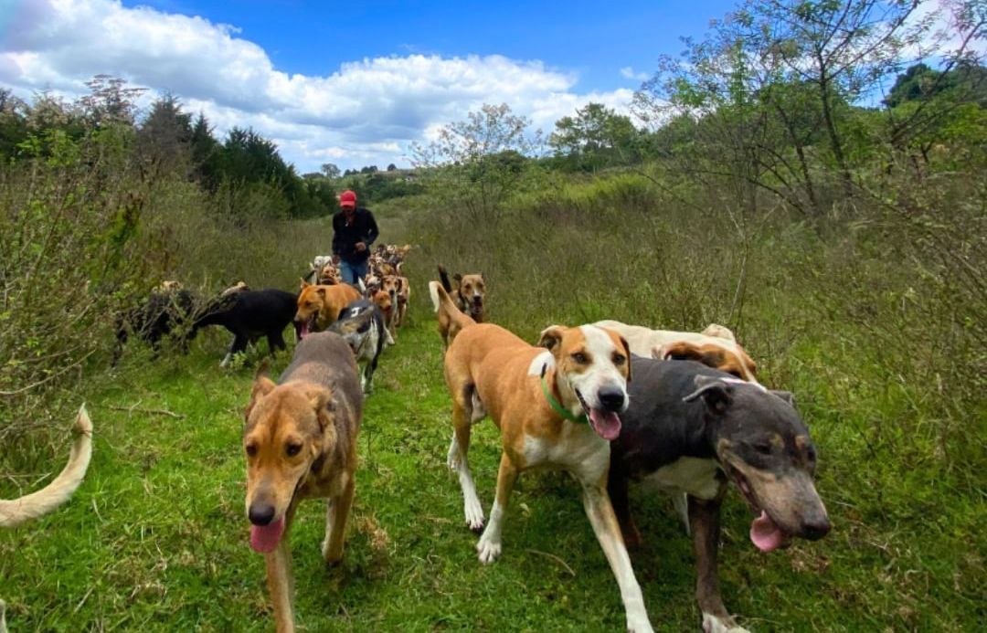 Territorio de Zaguates (Land of Strays) - Alajuela, Costa Rica