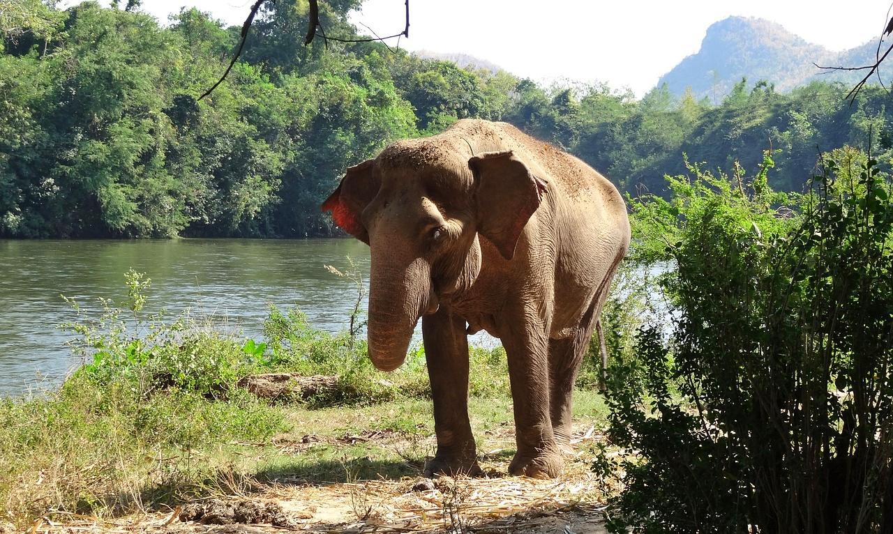 Thailand National Park