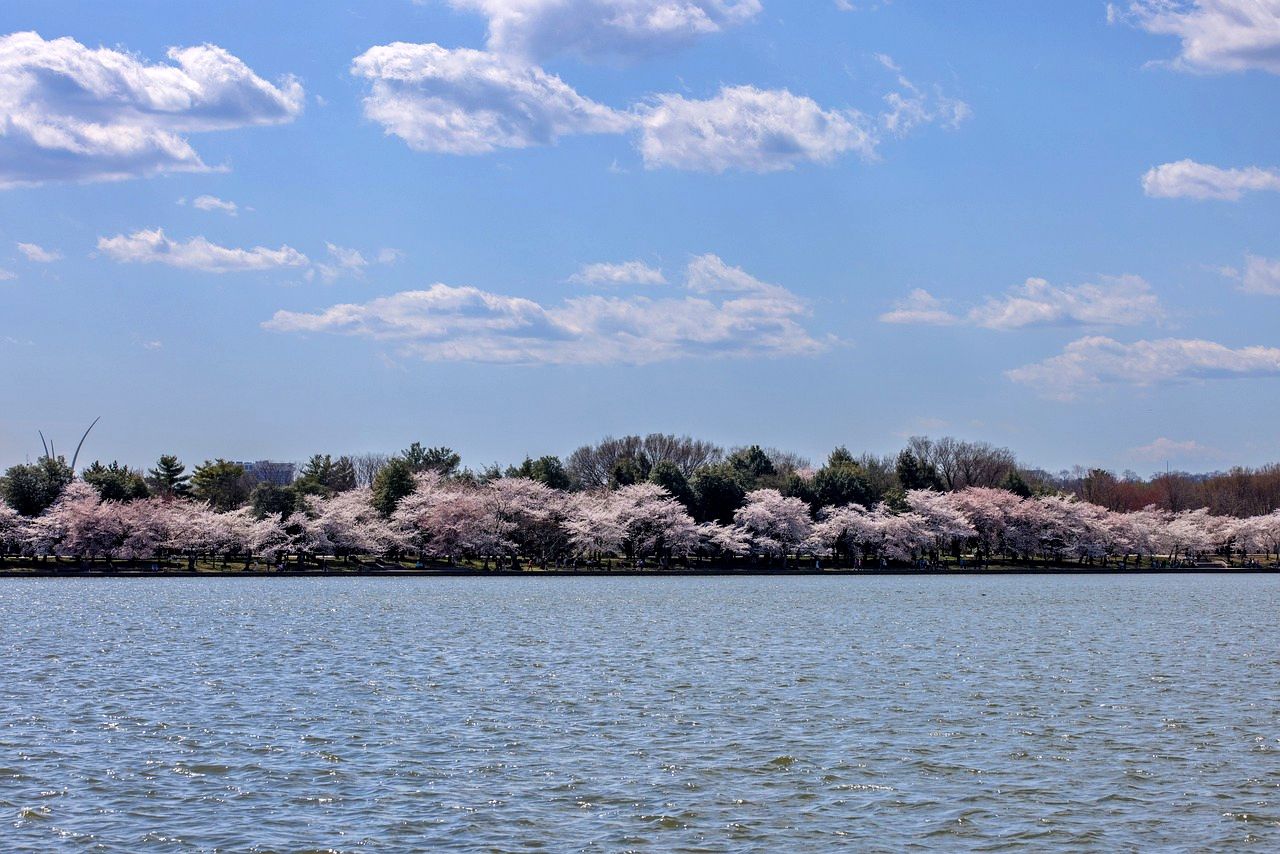 Tidal basin