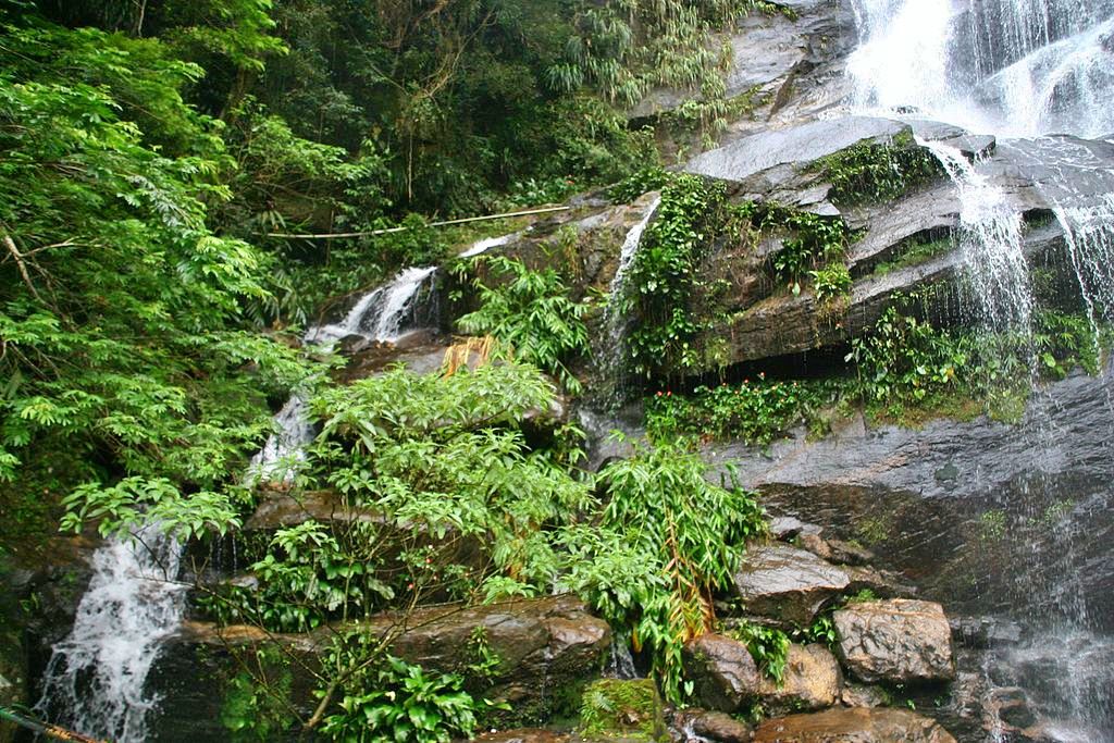 Tijuca National Park, Rio