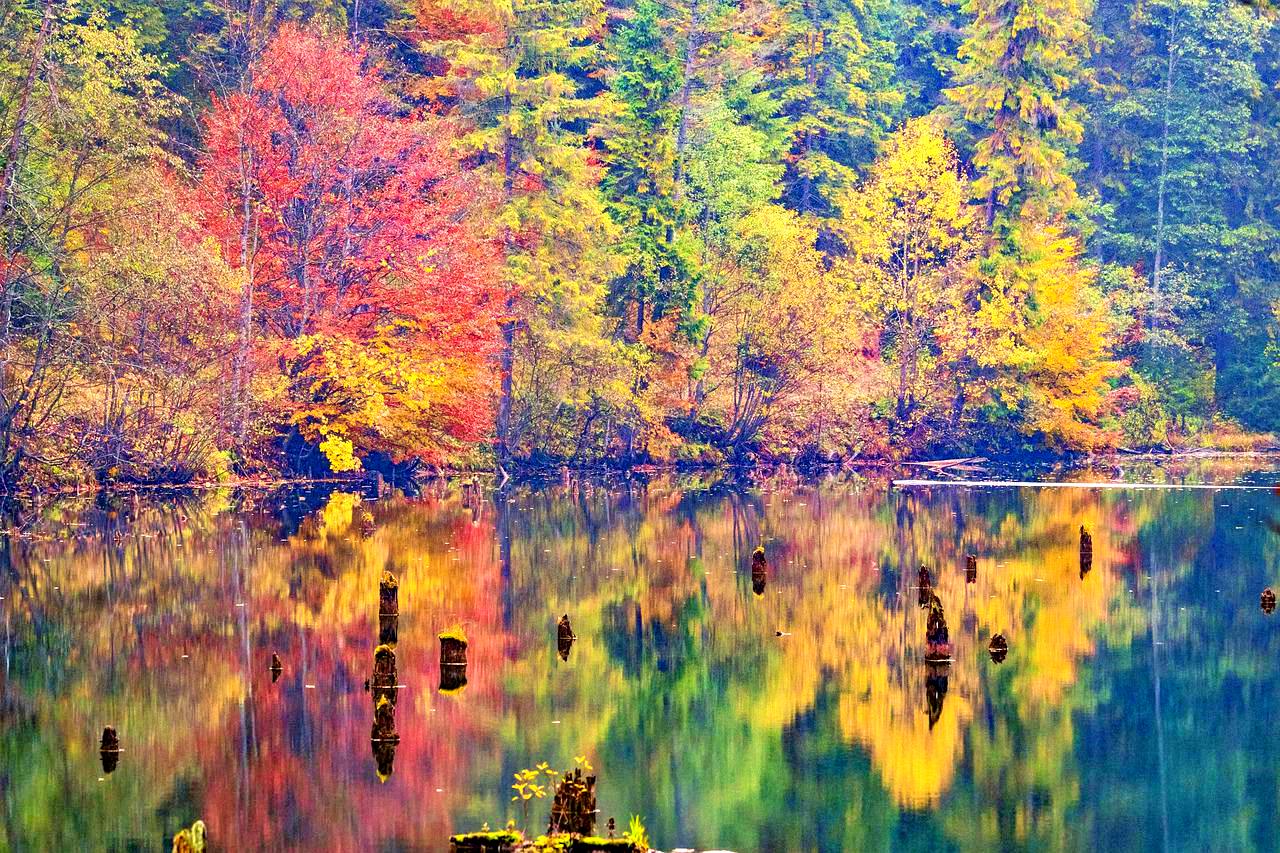 Fall colors in Transylvania, Romania, Europe
