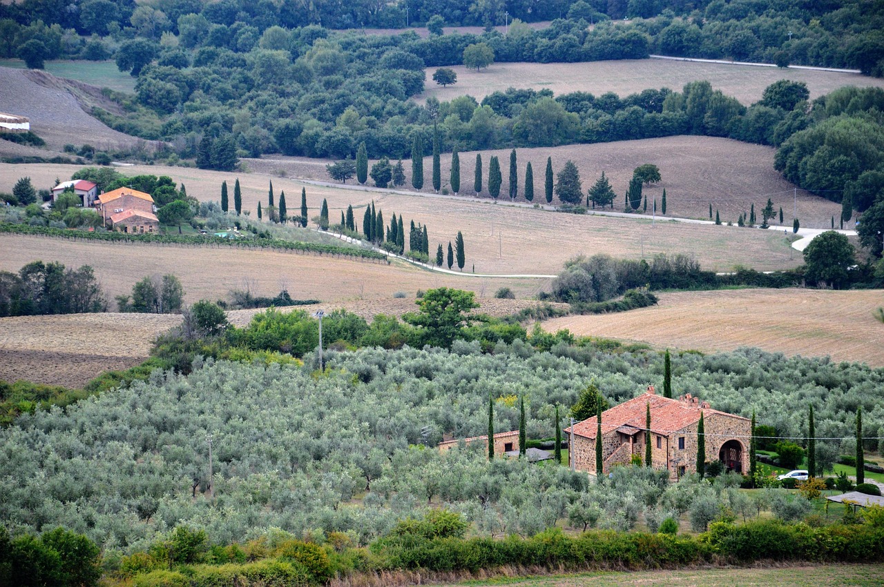 Typical scene in Tuscany