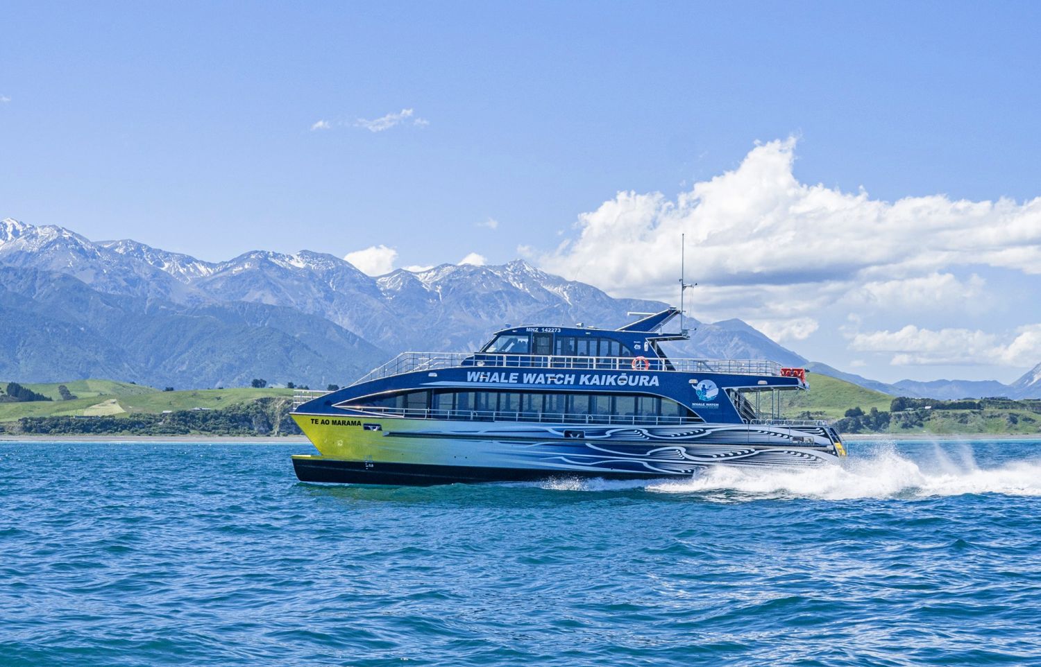 Whale Watch Kaikoura, New Zealand