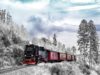Take A Train Ride Across The US For Beautiful Winter Views