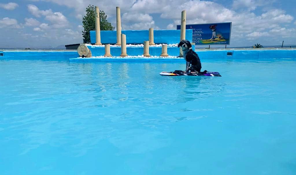 Worldog: Aquapark Canino in Alicante, Spain