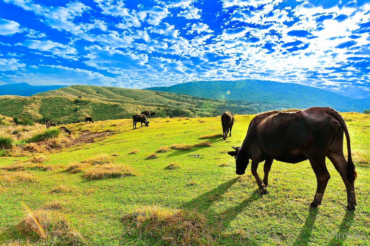 Yangmingshan, Taiwan