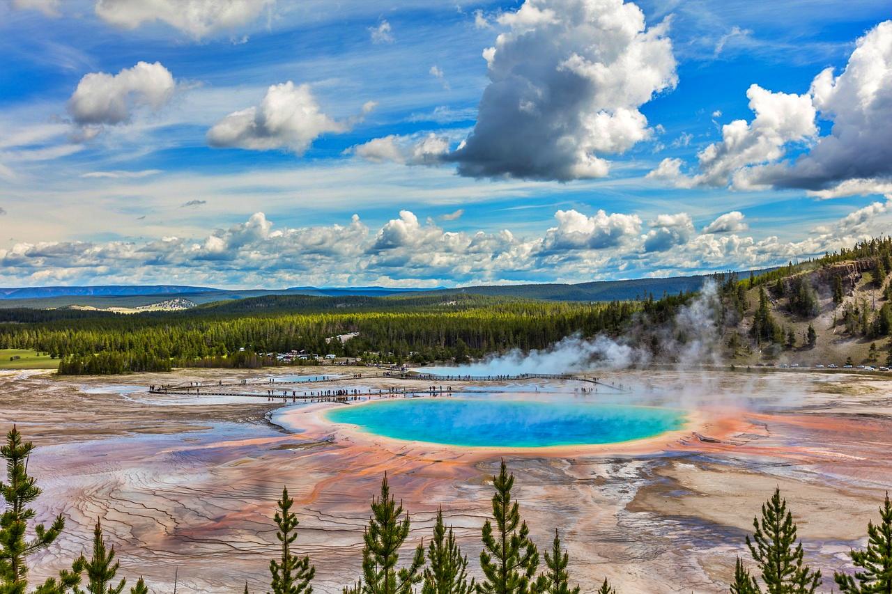 Geyser in Yellowstone National Park