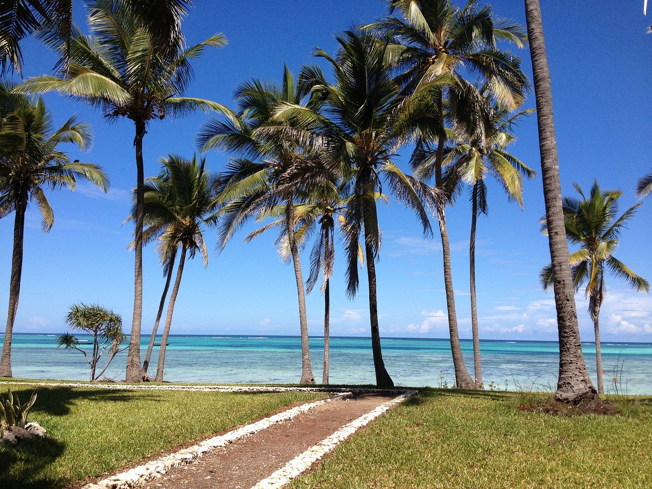 Beach in Zanzibar. Tanzania