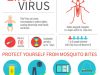 The Zika Virus and Travel – New Advisory Warns Pregnant Women