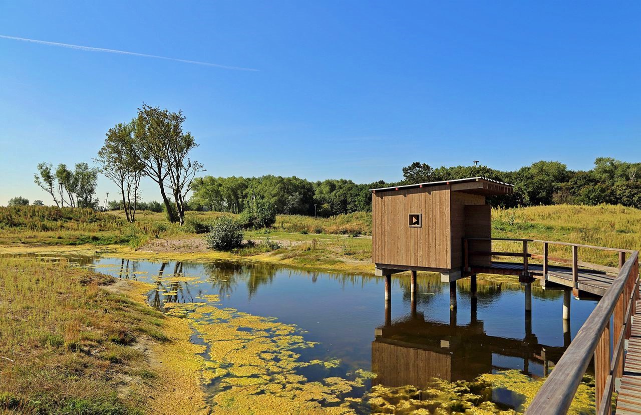 Zwin Nature Park, Belgium